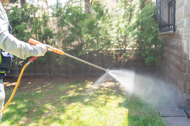 Best Lawn Pest Control  in East Lake, FL